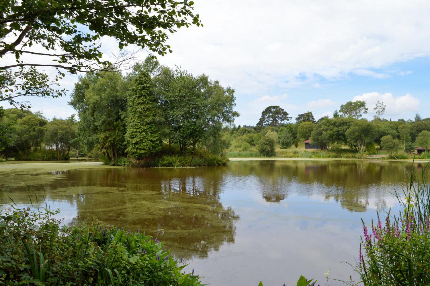 Lakes Main Lake Anglers Paradise