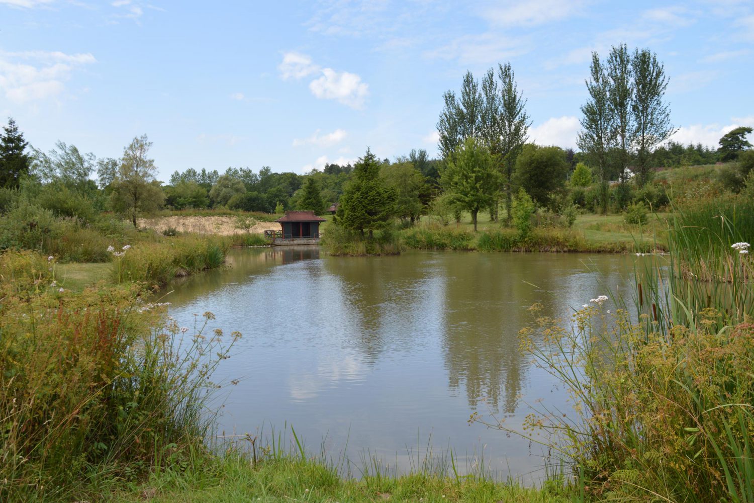 Lakes Tench Lake Anglers Paradise