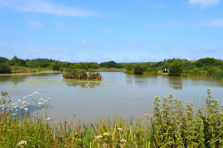 Lakes Day Ticket Lakes at Anglers Paradise Devon Anglers Paradise