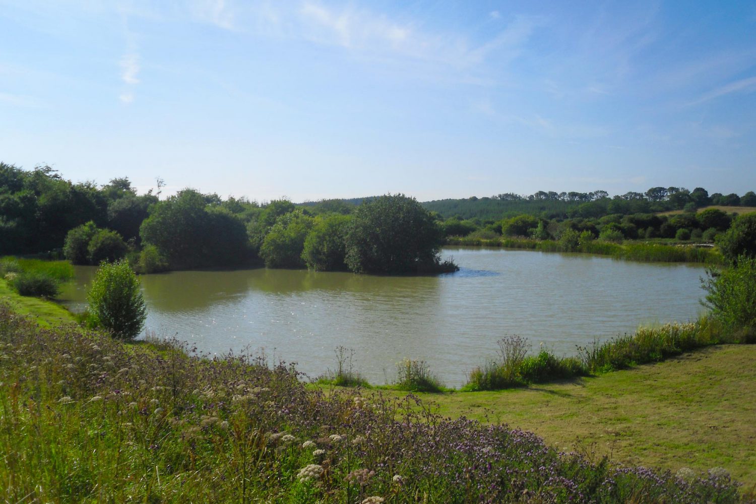 Lakes Day Ticket Eldorado Catfish & Carp Lake1 Anglers Paradise